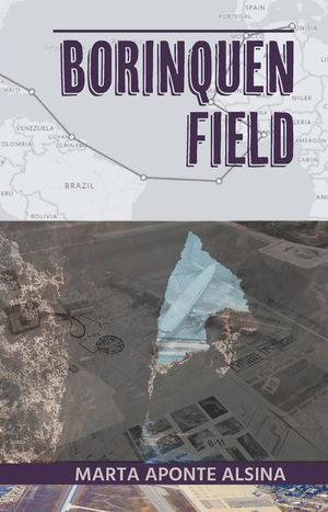 “Borinquen Field”, de Marta Aponte Alsina