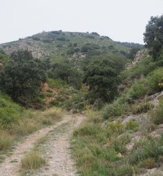 Una escapada intranscendente, por Vicente Adelantado Soriano