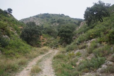 Una escapada intranscendente, por Vicente Adelantado Soriano