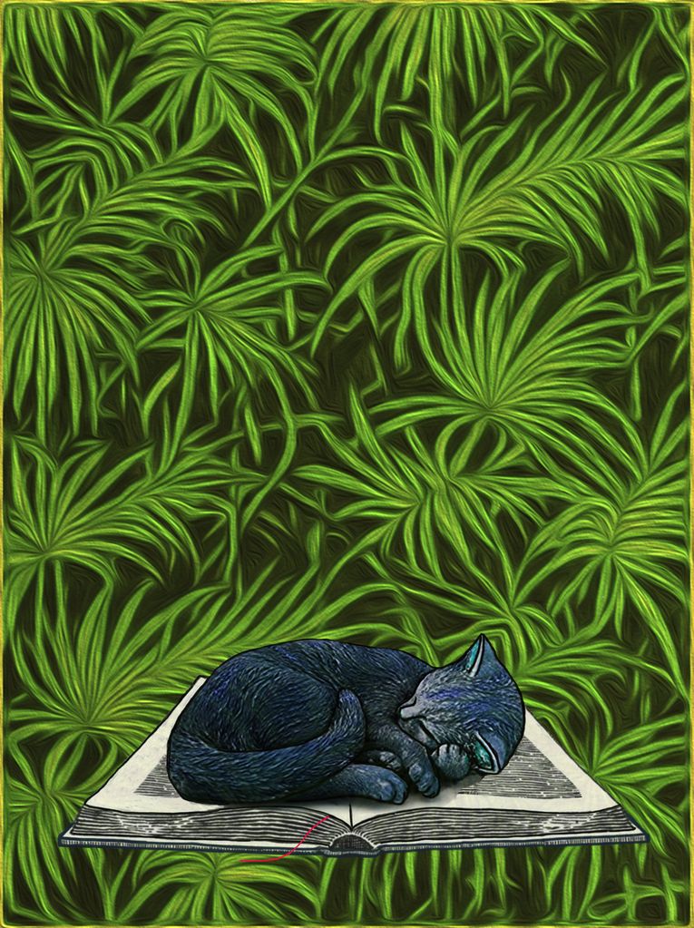 Cultura en casa, por Triunfo Arciniegas