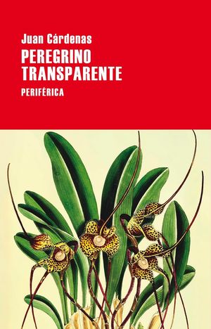 “Peregrino transparente”, de Juan Cárdenas