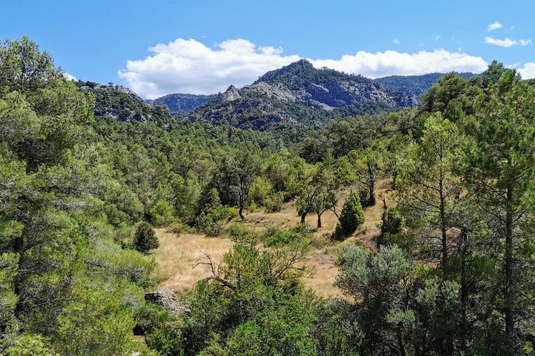 Perdido, por Vicente Adelantado Soriano