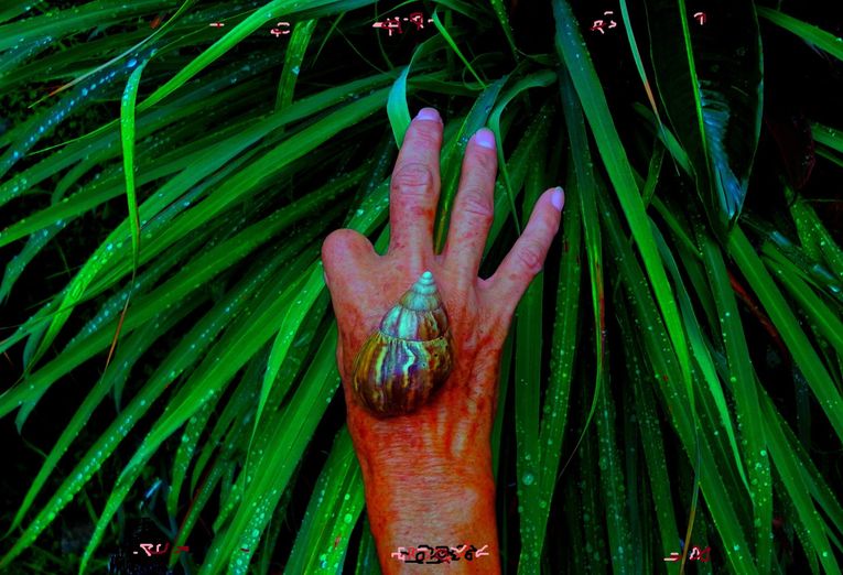 Obra de Ender Rodríguez