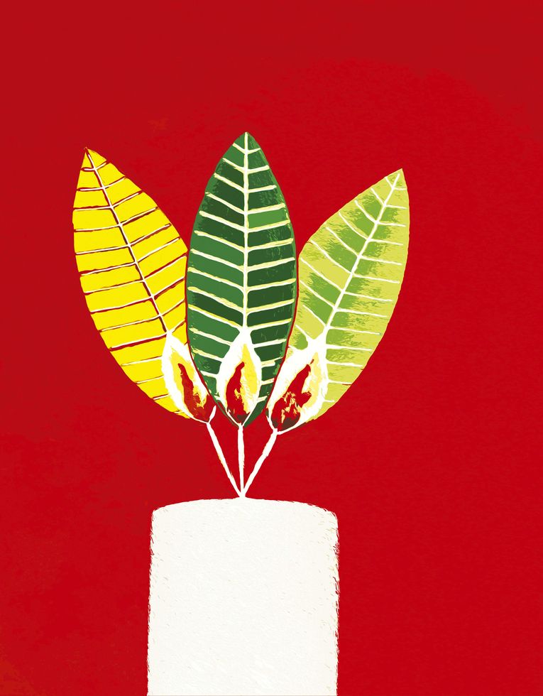 El muerto feliz, por Triunfo Arciniegas