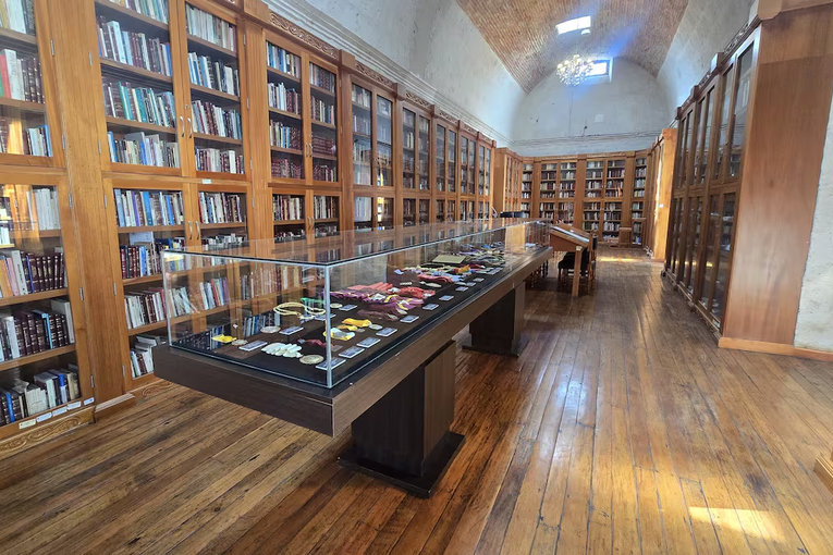 Biblioteca Regional Mario Vargas Llosa
