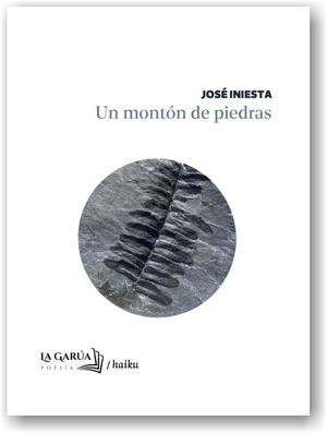 “Un montón de piedras”, de José Iniesta