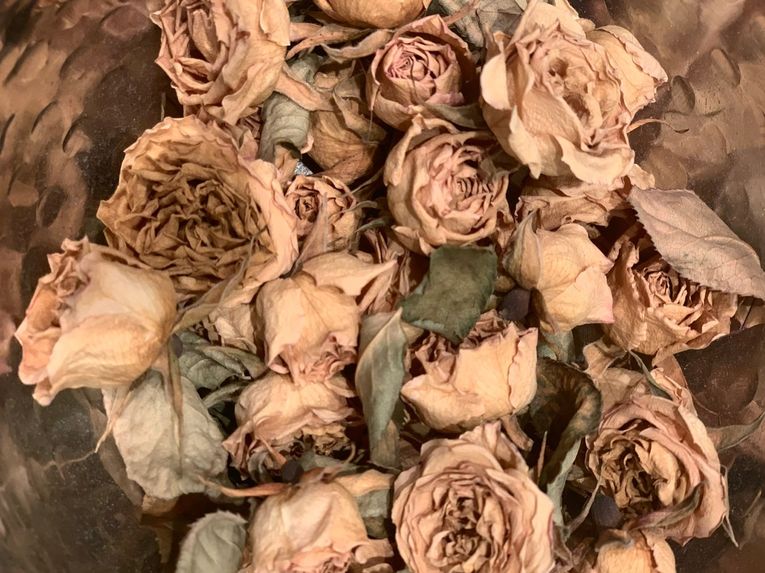 Dioses y monstruos, por Zacarías Santorini