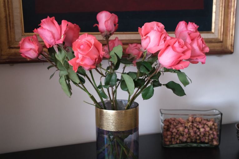 Dioses y monstruos, por Zacarías Santorini