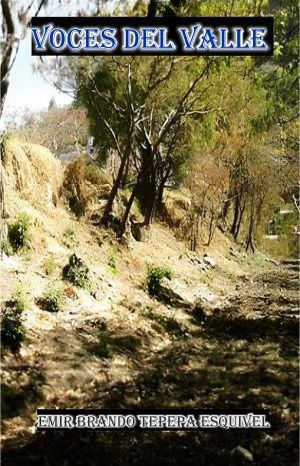 “Voces del valle”, de Emir Brando Tepepa Esquivel