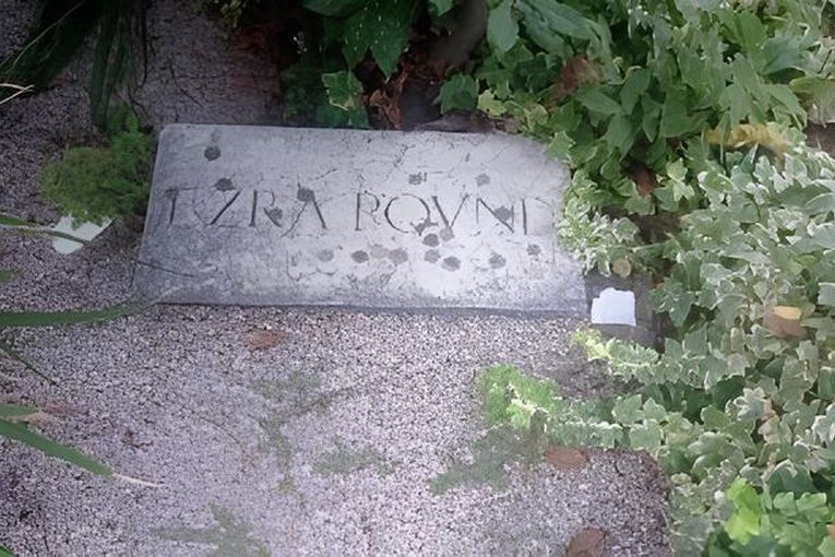 Joseph Brodsky marcado por el agua, por Carlos Fajardo Fajardo