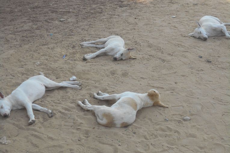 Menfis o el taller del picapedrero, por Juan Franco Crespo