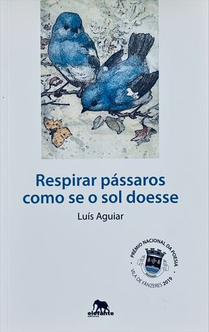 “Respirar pássaros como se o sol doesse”, de Luís Aguiar