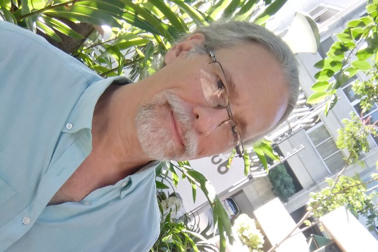 Alejandro Bruzual