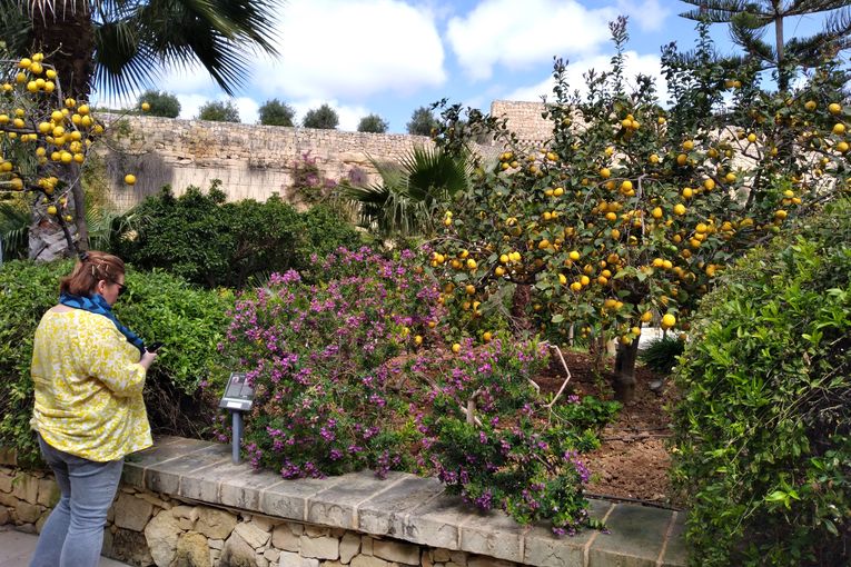 La cantera de Limestone, en Malta, por Juan Franco Crespo