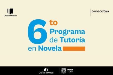 Sexto Programa de Tutoría en Novela