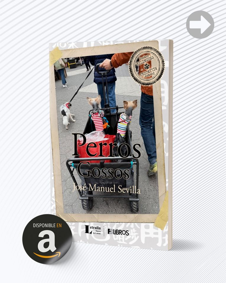 "Perros / Gossos", de José Manuel Sevilla