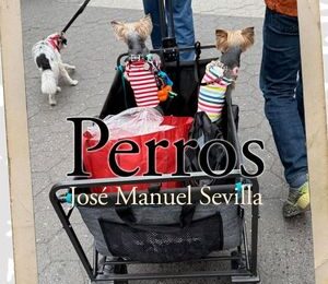 “Perros / Gossos”, de José Manuel Sevilla