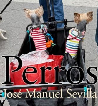 “Perros / Gossos”, de José Manuel Sevilla