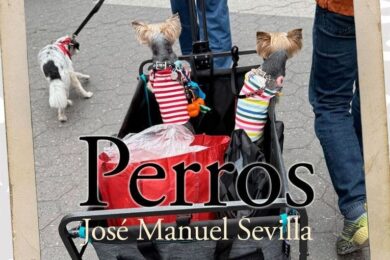 “Perros / Gossos”, de José Manuel Sevilla