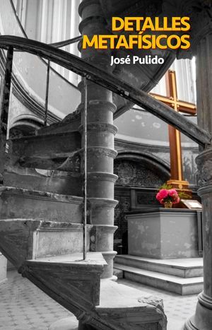 “Detalles metafísicos”, de José Pulido