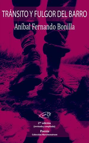 “Tránsito y fulgor del barro”, de Aníbal Fernando Bonilla