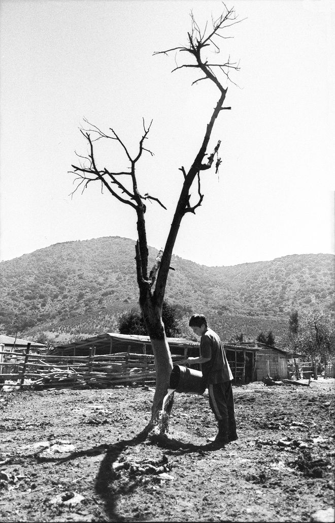 Fotografía de Ramón Ángel Acevedo Arce