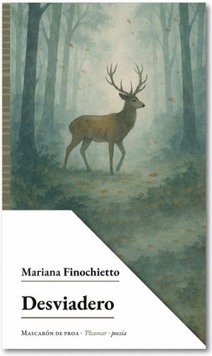 “Desviadero”, de Mariana Finochietto