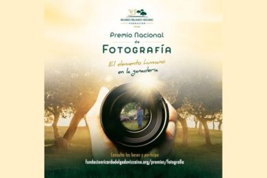 Premio Nacional de Fotografía Fundación Ricardo Delgado Vizcaíno