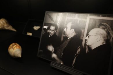 Exposición “Mollusca. Poesía de caracolas. Sumergirse en la Colección Neruda”