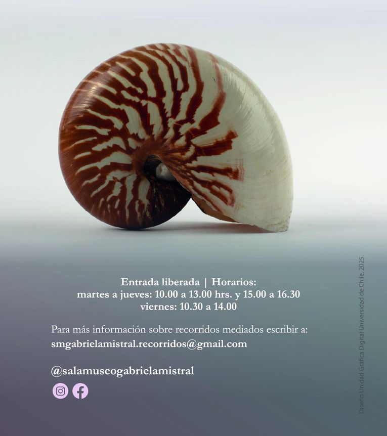 Exposición “Mollusca. Poesía de caracolas. Sumergirse en la Colección Neruda”