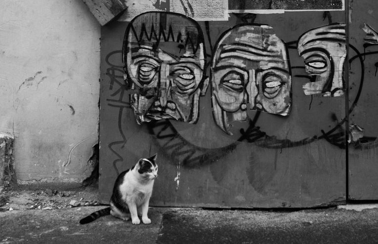 “Poeta de Schrödinger”, de Jesús de Castro