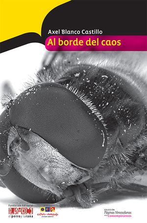 “Al borde del caos”, de Axel Blanco Castillo