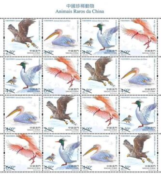Colección filatélica sobre aves raras de China
