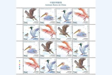 Colección filatélica sobre aves raras de China
