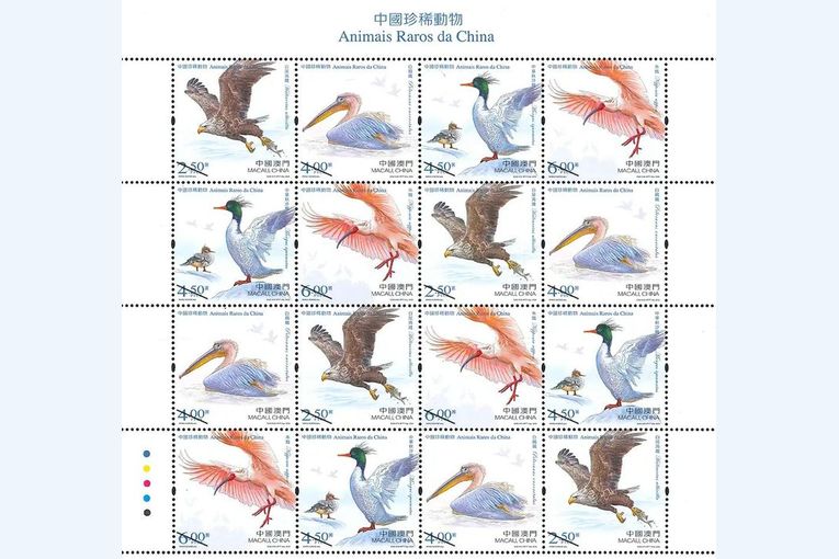 Colección filatélica sobre aves raras de China