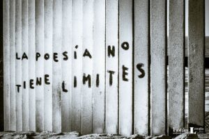 Frontera, por Carlos Moreira
