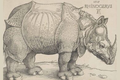 El rinoceronte de Durero