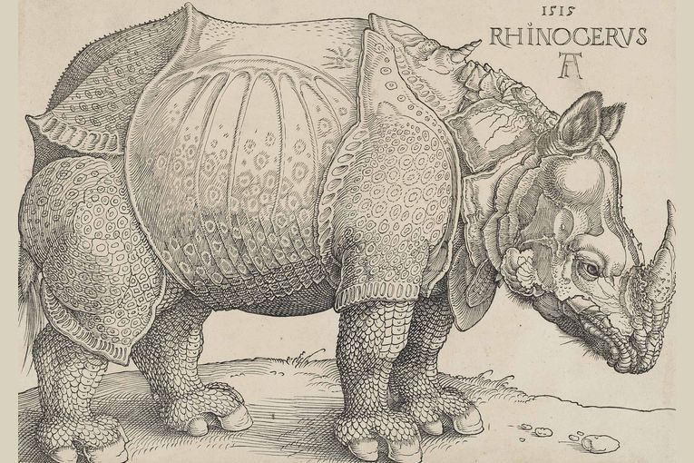 El rinoceronte de Durero